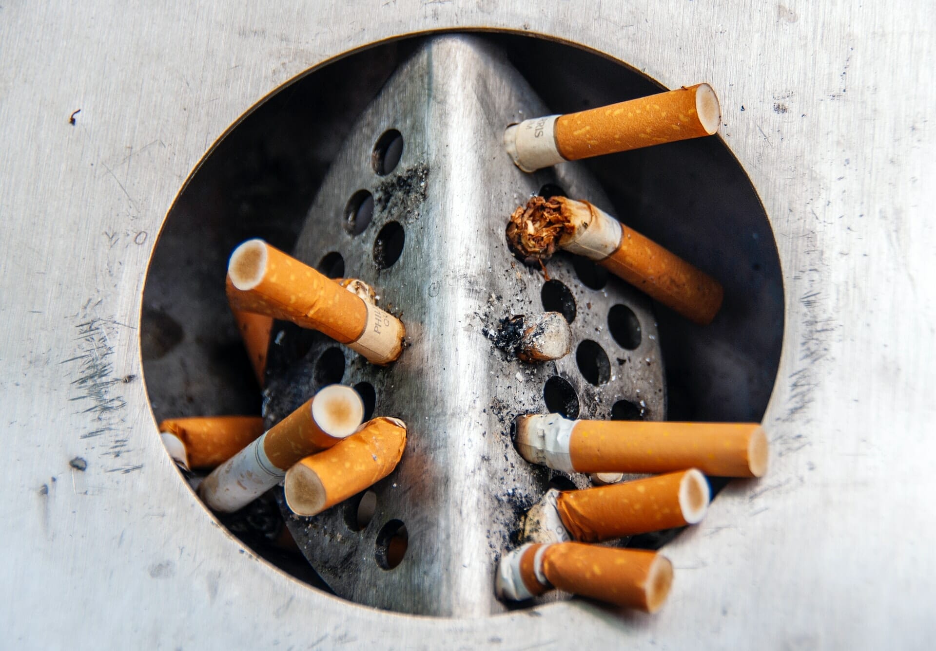 Smokeless-Tobacco-Leaves-Traces-Carcinogens